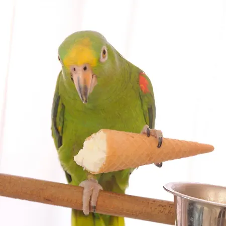 Ξενοδοχείο Tritone 3*